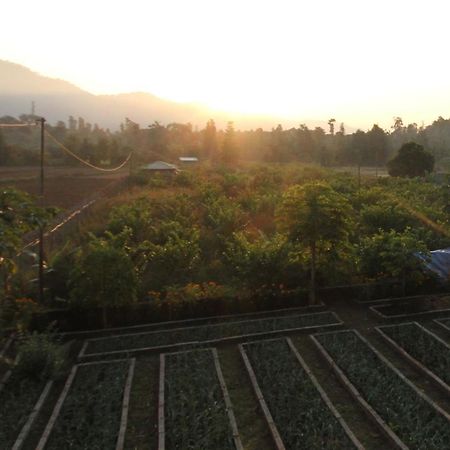 Forest Side Farm - Homestay At Kotabagh Near Nainital And Jim Corbett Bagian luar foto