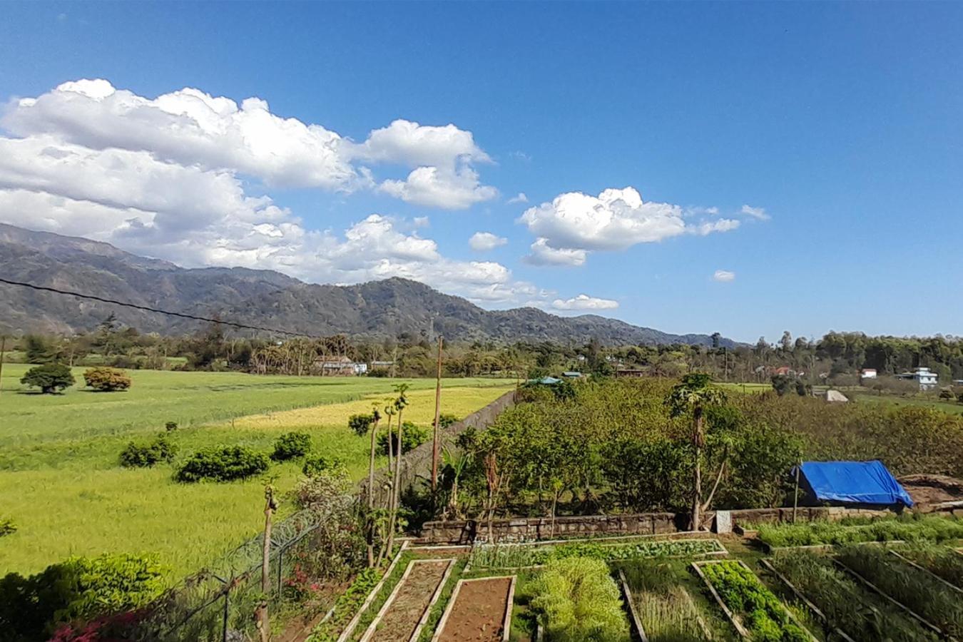Forest Side Farm - Homestay At Kotabagh Near Nainital And Jim Corbett Bagian luar foto